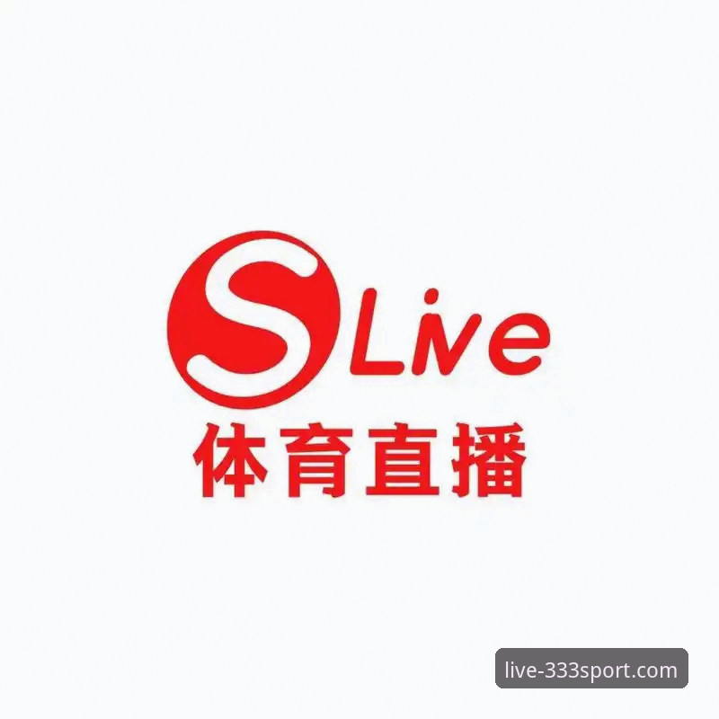 333体育官网下载说明：流畅体育直播平台安装全指南